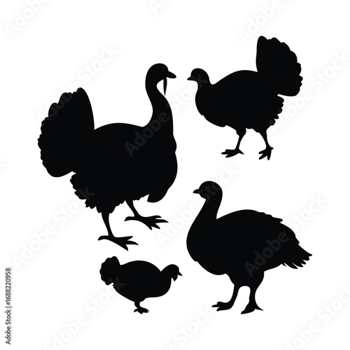 Silhouettes of Turkeys – Farm Bird Vector Set
