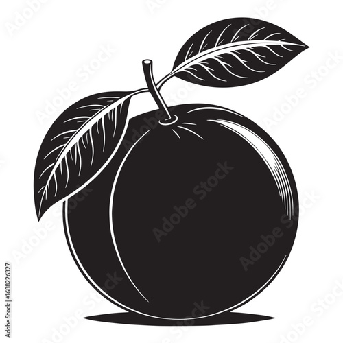 Black orange Silhouette Vector, High Quality Illustration on White Background