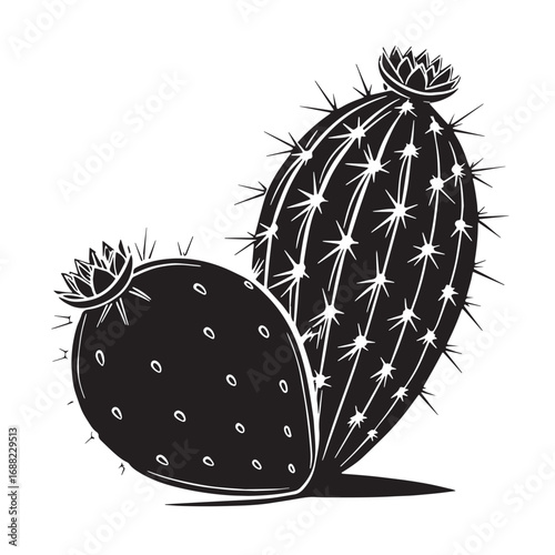 Black prickly Silhouette Vector, High Quality Illustration on White Background