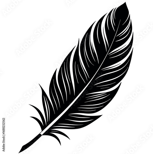 Intricate black feather detailed texture pattern
