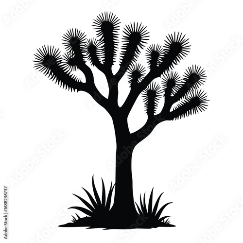 Black silhouette of a Joshua tree with spiky leaves