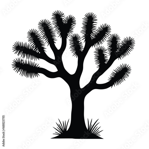 Black silhouette of a Joshua tree with spiky leaves