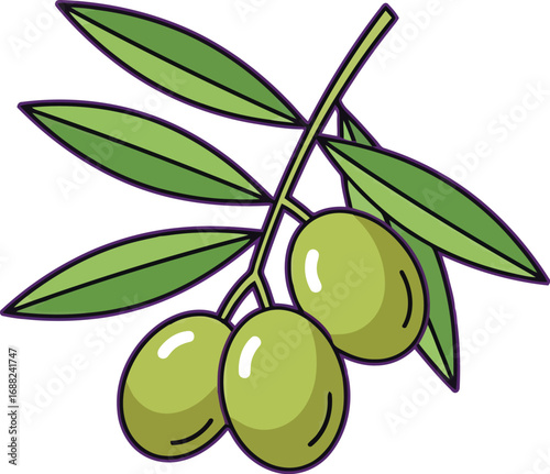 Vibrant green olives hang from a leafy branch fresh organic fruit illustration healthy mediterranean cuisine ingredient vector