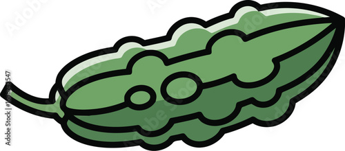 Hand drawn illustration of a single bitter melon vegetable isolated on white vector