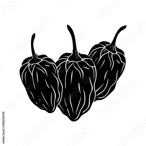 Three Black and White Scotch Bonnet Peppers, isolated on a white background
