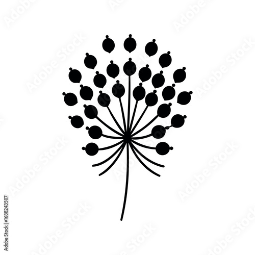 Stylized black and white image of a dill flower with seeds bursting forth