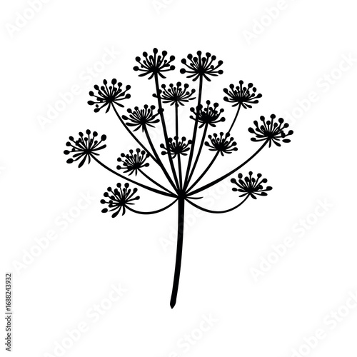 Monochrome botanical illustration of a flowering plant on a white background