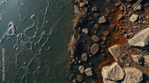 Industrial pollution affects natural ecosystems and wildlife