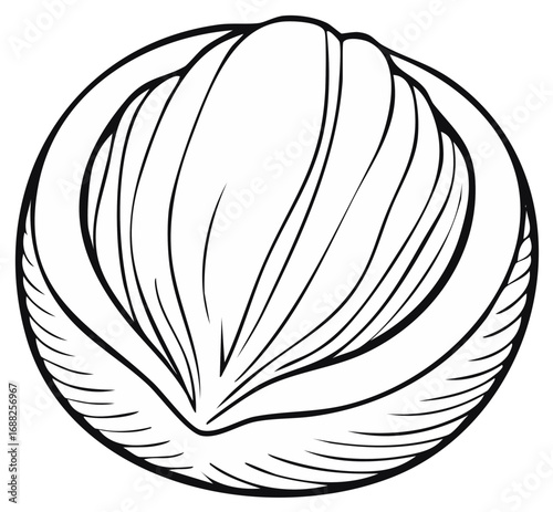 Elegant black and white line art illustration of a sea shell or mollusk marine life symbol