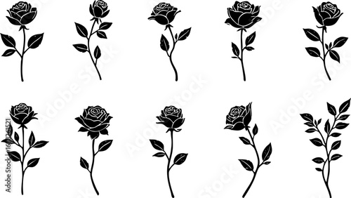 Elegant Floral Silhouette Collection