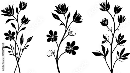 Elegant Floral Silhouette Collection