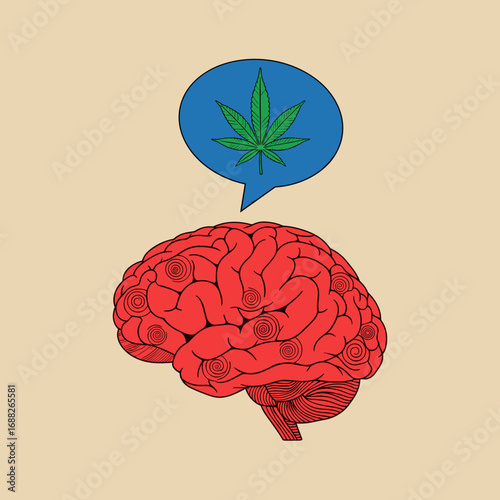 Understanding the complex relationship between cannabis and cognitive function in the human brain