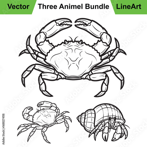 Collection of Crab Poses as a Powerful Vector Line Art Set