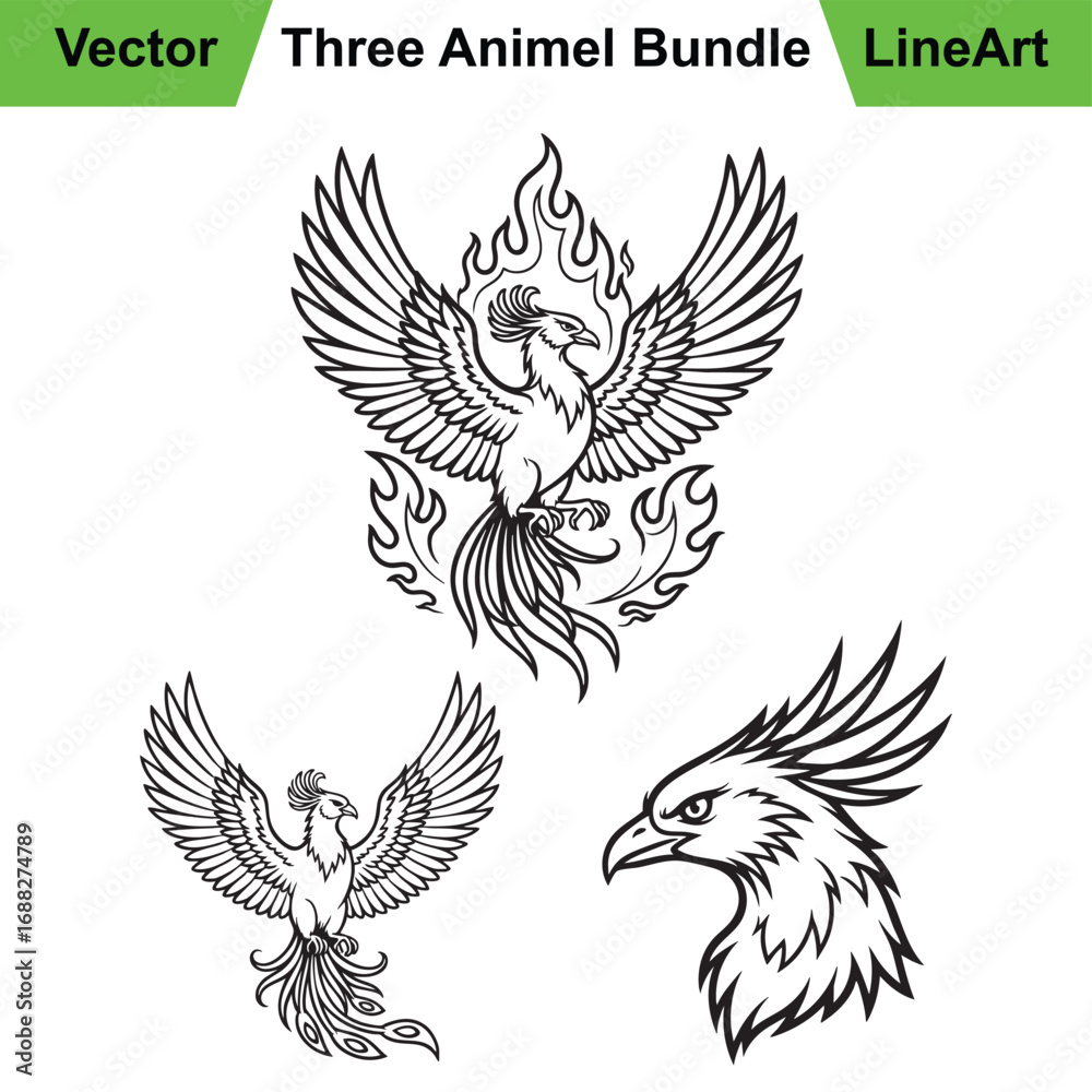 Obraz premium Three Mythical Phoenix Poses as a Prehistoric Line Art Set