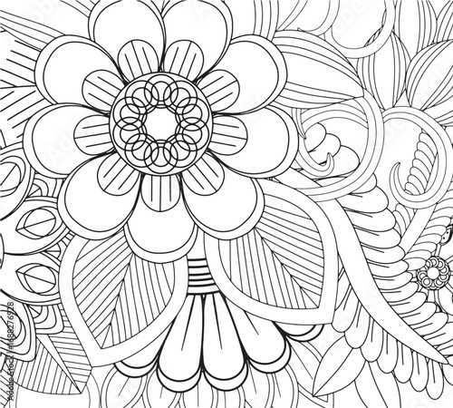 Vector illustration flowers coloring pages for adults 