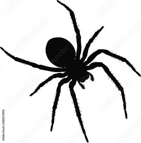 Spooky halloween spider silhouette graphic insect arachnid creepy crawler danger vector