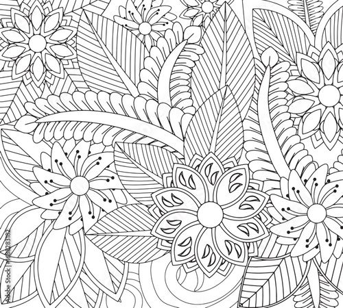 Vector illustration flowers coloring pages for adults 