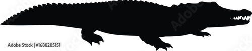 Silhouette of a crocodile isolated on white a predator in its natural habitat vector