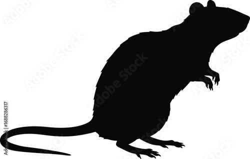 Silhouette rat standing on hind legs isolated vector art vector