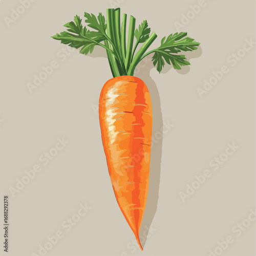 carrot, vegetable, food, illustration, vector, healthy, cartoon, orange, vegetarian, fresh, nature, health, leaf, green, organic, diet, root, plant, natural, agriculture, art, design, nutrition, icon,