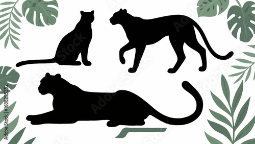Black panther silhouettes with tropical leaves in a jungle illustration