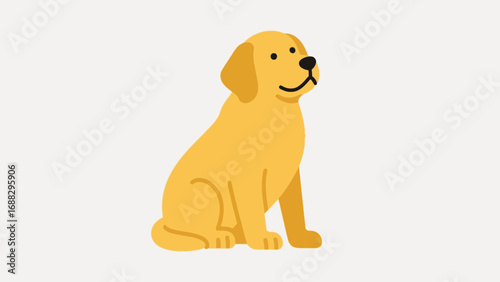 Cute golden retriever dog sits attentively looking up illustration