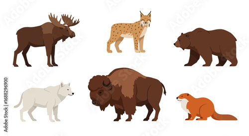Illustration of North American wildlife featuring moose, lynx, and bear
