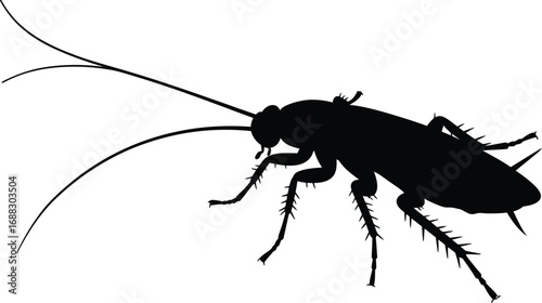 Cockroach silhouette insect pest silhouette macro isolated vector