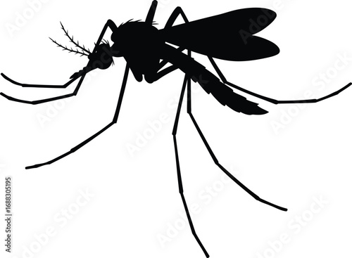 Mosquito silhouette icon vector insect pest danger threat summer swarm vector