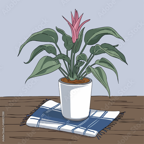 plant, flower, pot, leaf, nature, tree, green, isolated, houseplant, decoration, potted, house, blossom, home, flora, growth, leaves, gardening, flowerpot, botany, tropical, branch, bloom, spring, ste