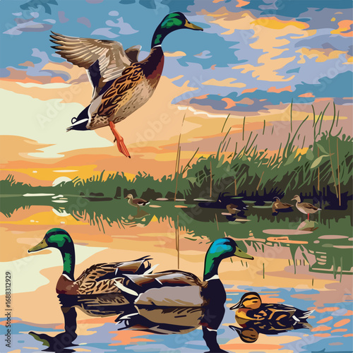 duck, bird, mallard, water, animal, nature, lake, ducks, wildlife, pond, feather, drake, green, birds, wild, beak, swimming, animals, mallard duck, swim, waterfowl, reflection, river, feathers, brown