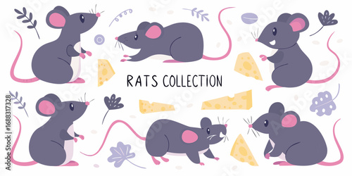 Collection of cute cartoon rats poses and cheese slices with decorative elements