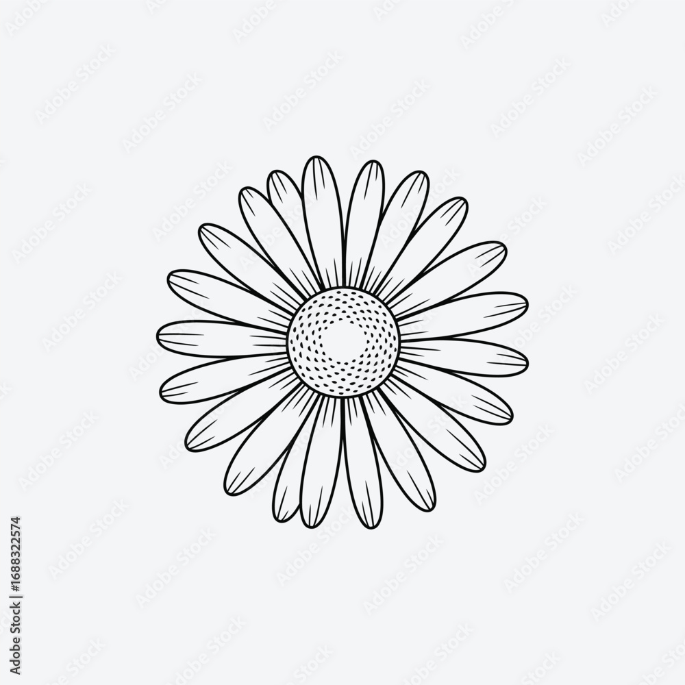Fototapeta premium Vector art of detailed daisy flower illustration, showcasing the intricate patterns and textures of a beautiful floral design
