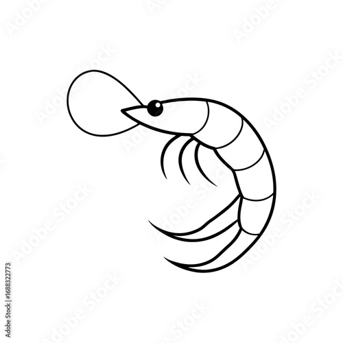 shrimp with curved body isolated