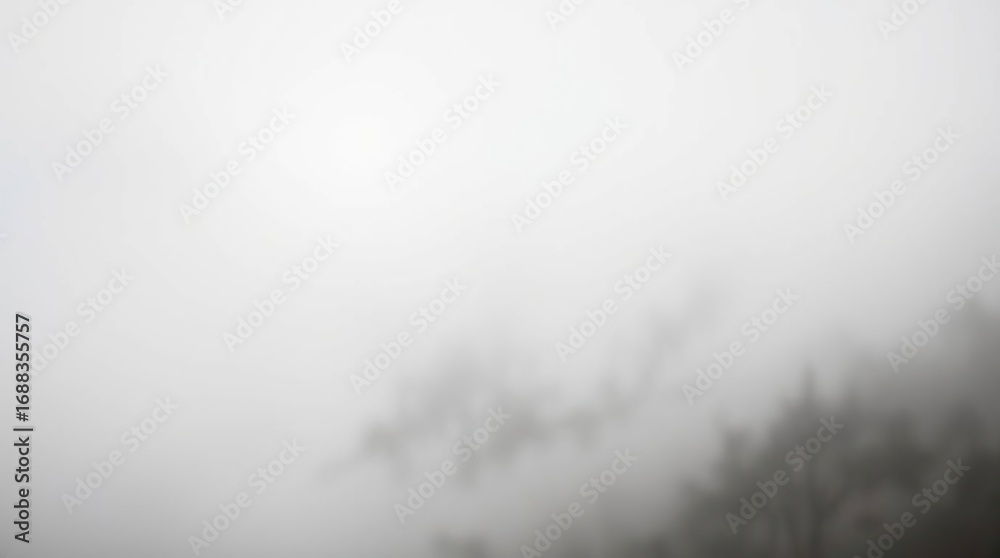 Fototapeta premium Foggy forest with mountain view.