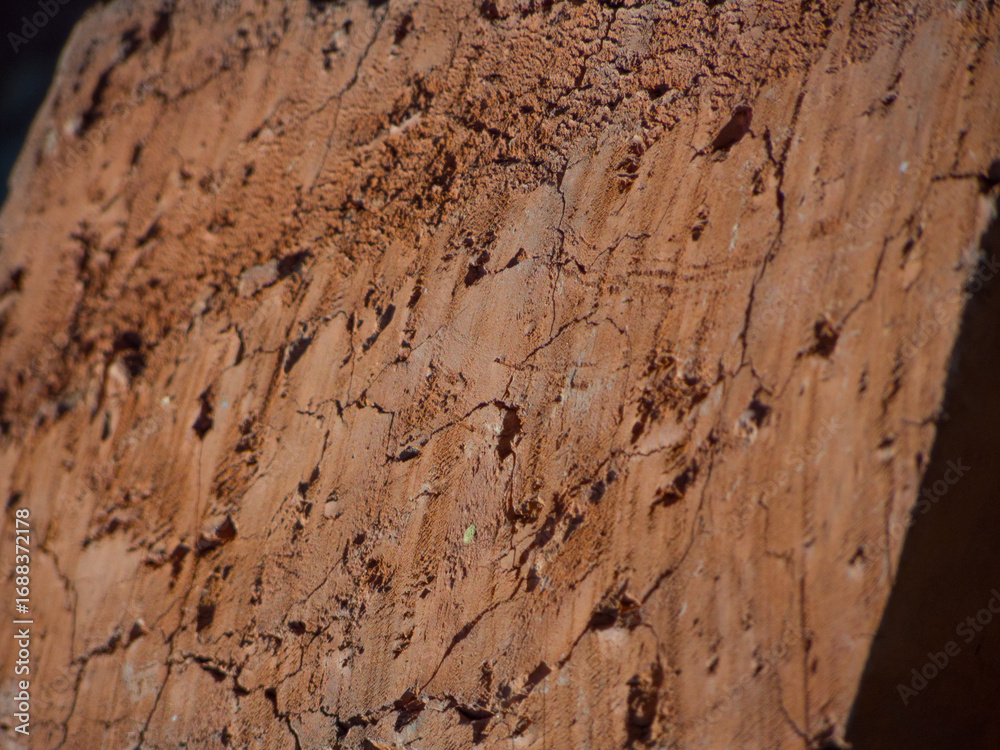 Fototapeta premium Old brick texture