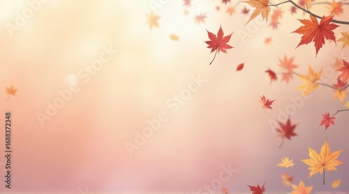Autumn Maple Leaves Falling in Soft Light Warm Colors Scenic Nature Background