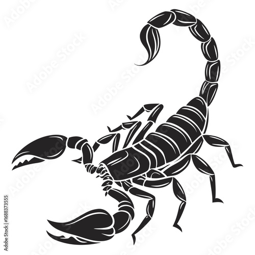 scorpion vector illustration