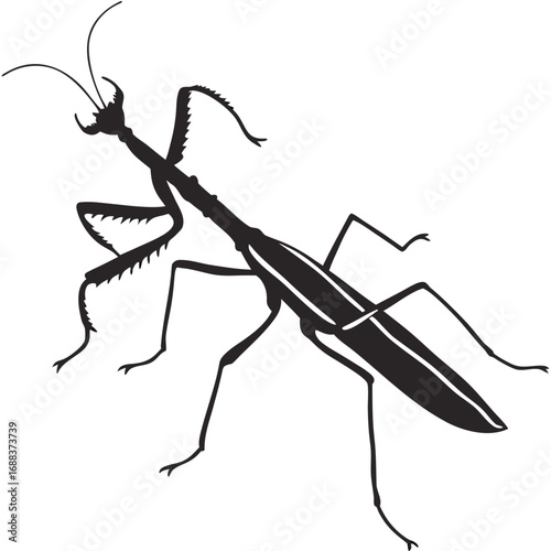 mosquito sucking blood