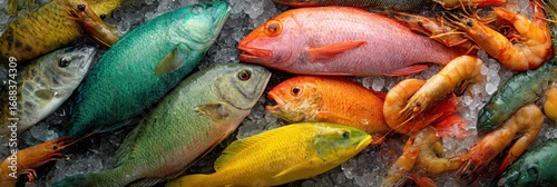 Fresh seafood assortment on ice. Colorful fish and shrimp displayed on a bed of ice