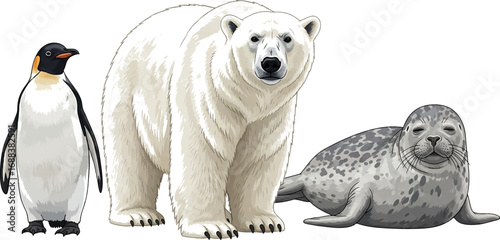 Arctic wildlife featuring penguin, polar bear, and seal, perfect for educational materials