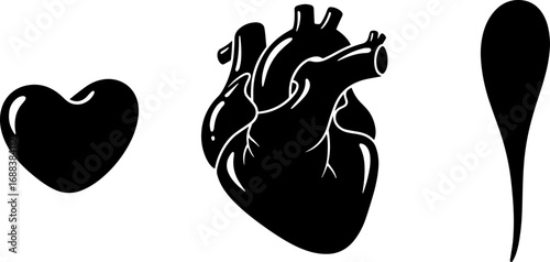 Black anatomical heart illustration with stylized heart and droplet, medical and science concepts
