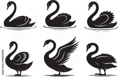 Swan Silhouettes in Black and White Minimalist Style