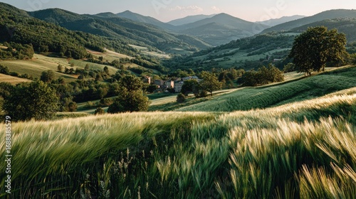 Rural valley scene at sunset. Lush greenery, fields, and mountains