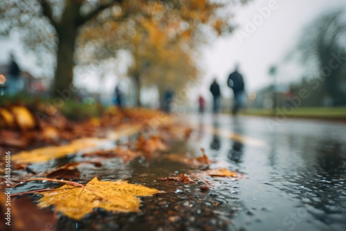 Autumnal street scene, wet pavement, fallen leaves