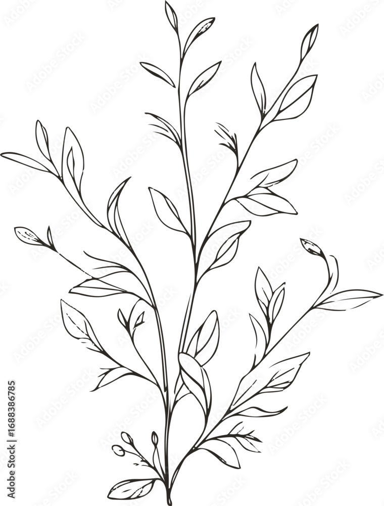 Naklejka premium Elegant line art of black peppercorn branch with leaves, monochrome vector, minimal illustration for spice jar packaging
