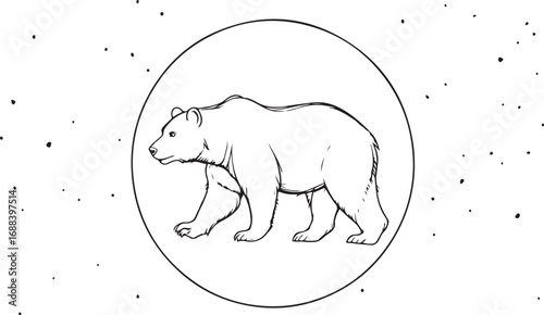 Minimalist line art bear walking inside circular frame wildlife animal outline drawing illustration