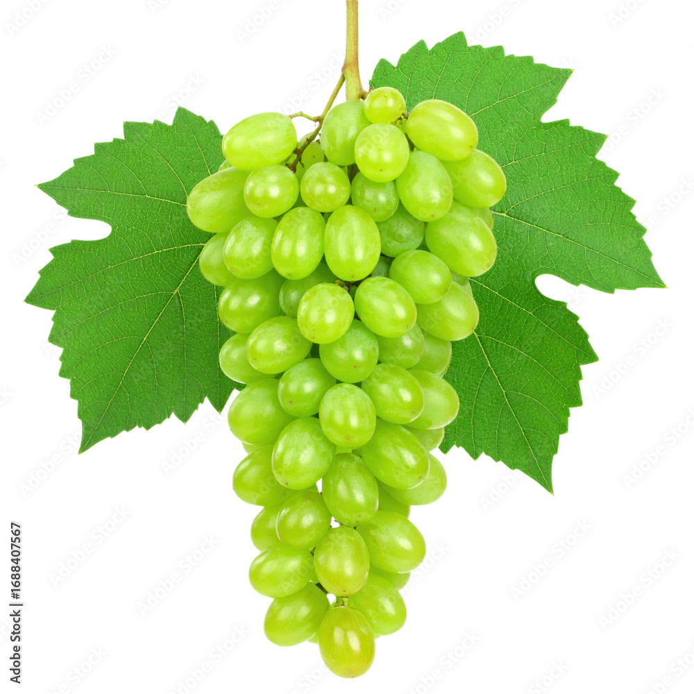 Obraz premium A plump bunch of green grapes attached to a stem with two vibrant green grapevine leaves