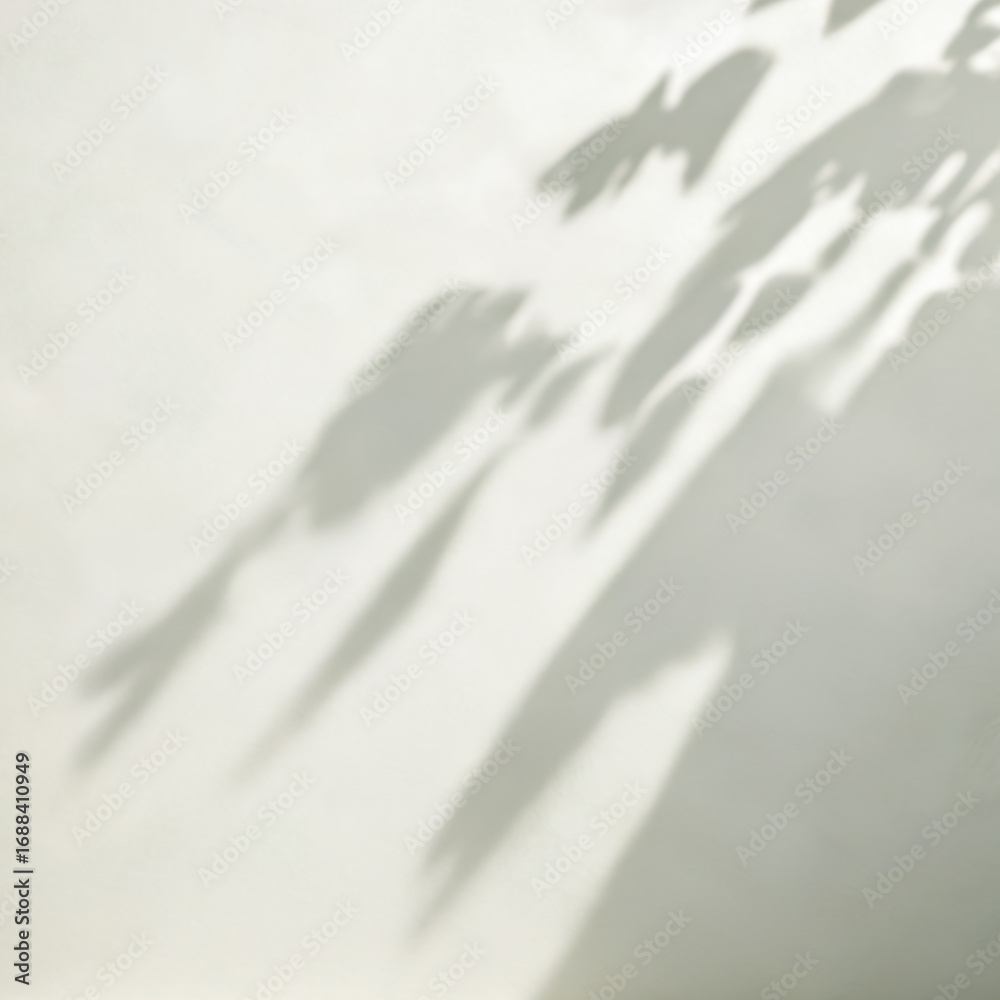 Obraz premium shadow wall