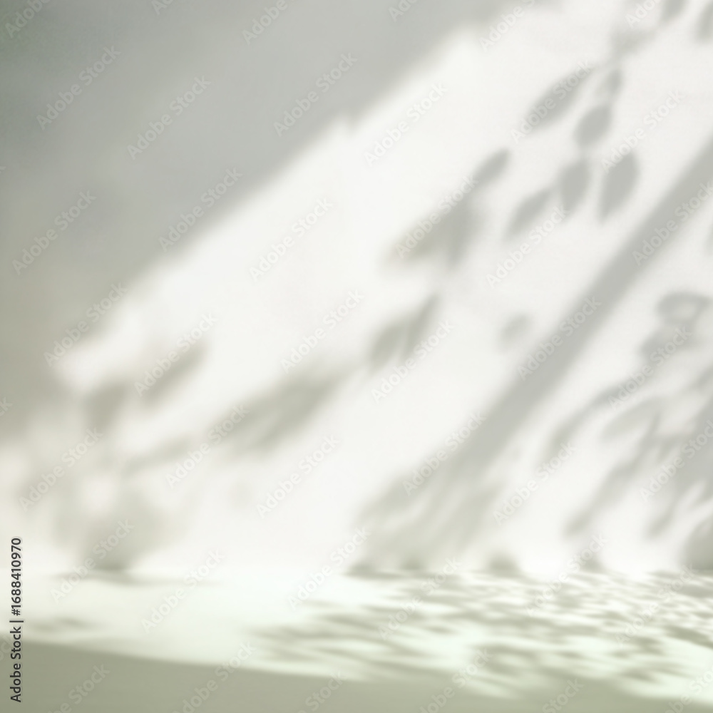 Obraz premium shadow wall